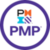 DexNova Learning pmp logo